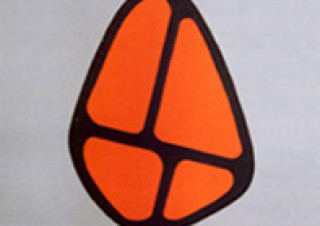 Symbol 1