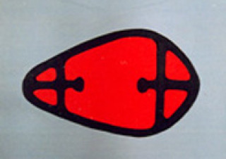 Symbol 13