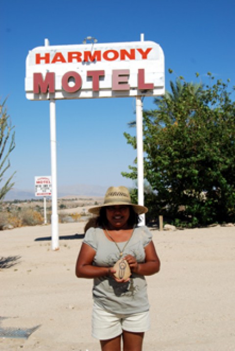 ash harmony motel