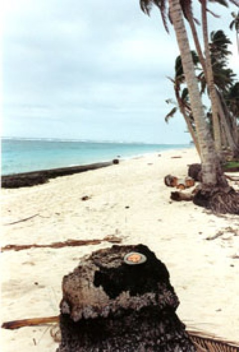 Samoa 5