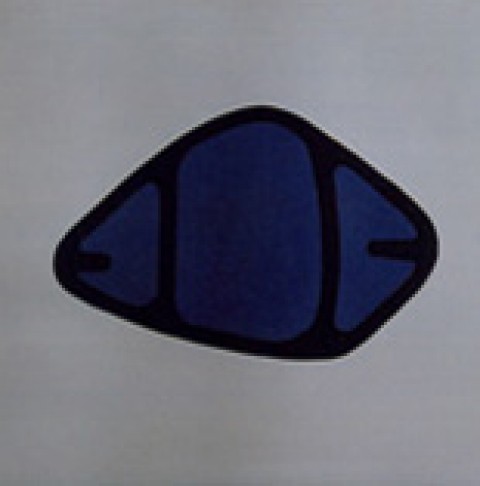 Symbol 2